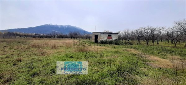 terreno agricolo in vendita a Somma Vesuviana