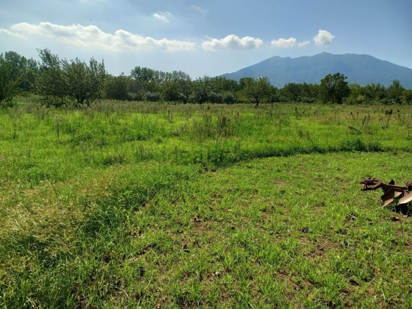 terreno agricolo in vendita a Somma Vesuviana