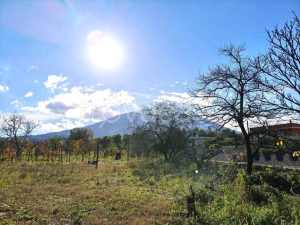 terreno agricolo in vendita a Somma Vesuviana in zona Rione Trieste