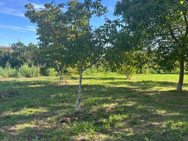 terreno agricolo in vendita a Somma Vesuviana