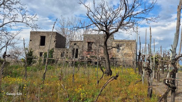 casale in vendita a Somma Vesuviana