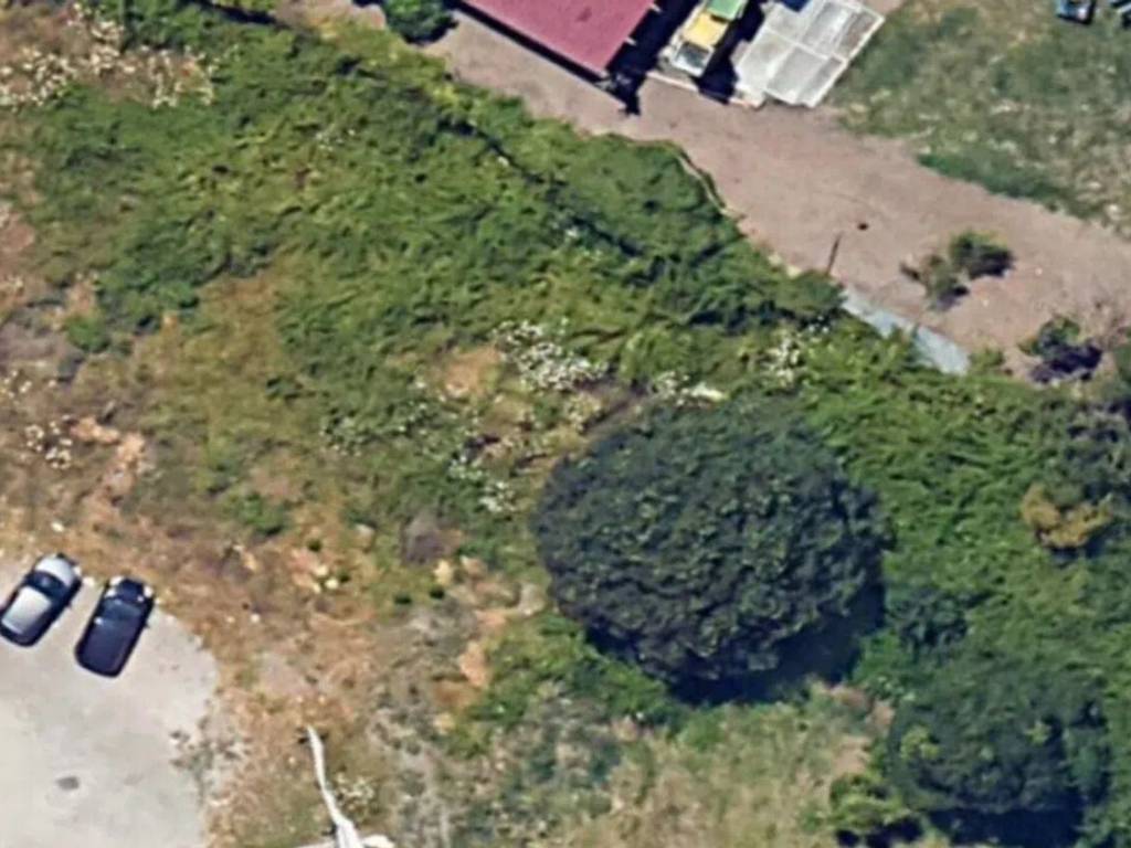 terreno agricolo in vendita a Somma Vesuviana in zona San Sossio