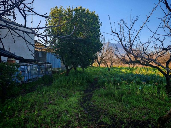 terreno agricolo in vendita a Somma Vesuviana