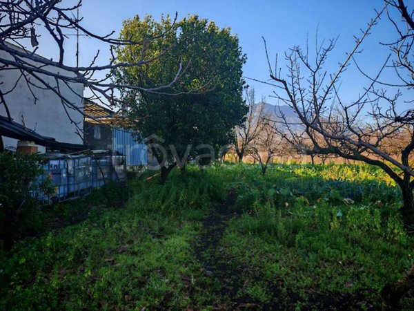 terreno agricolo in vendita a Somma Vesuviana