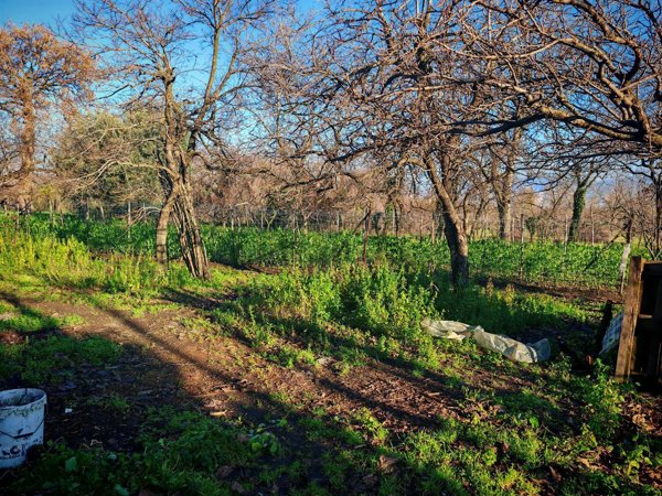 terreno in vendita a Somma Vesuviana