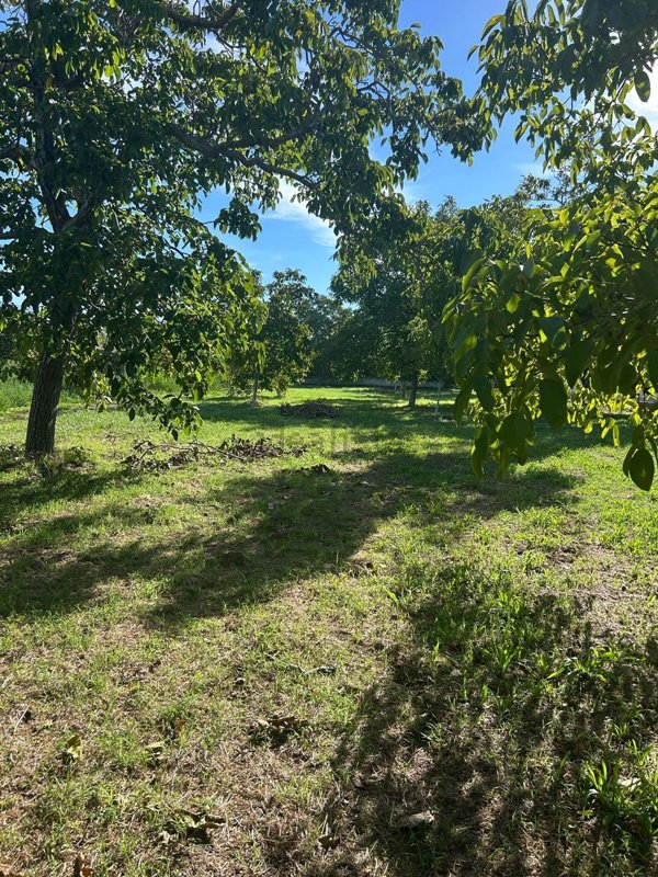 terreno agricolo in vendita a Somma Vesuviana