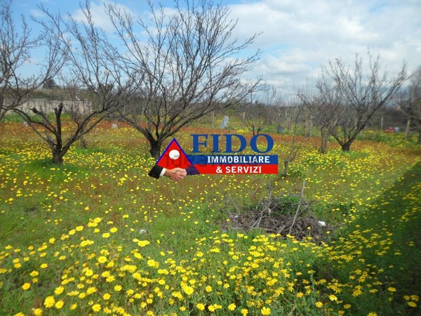 terreno agricolo in vendita a Somma Vesuviana in zona Santa Maria del Pozzo