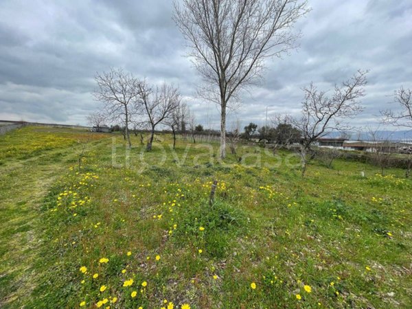 terreno agricolo in vendita a Somma Vesuviana