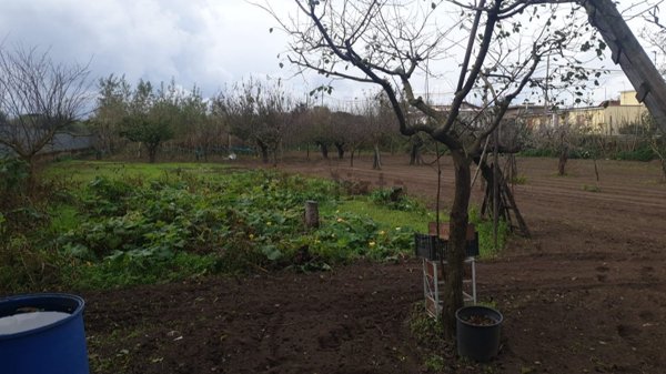terreno agricolo in vendita a Somma Vesuviana