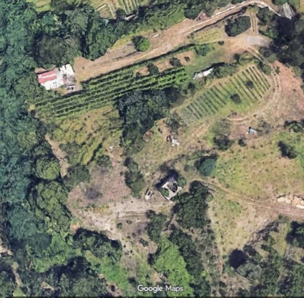 terreno agricolo in vendita a Somma Vesuviana