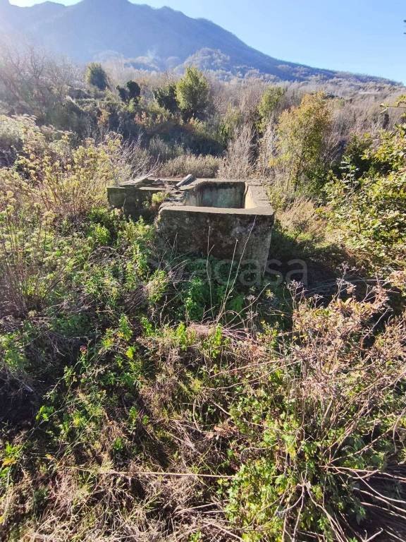 terreno agricolo in vendita a Somma Vesuviana