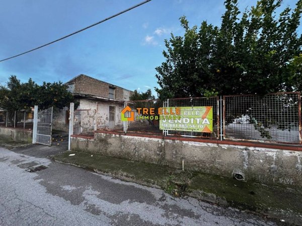 immagine annuncio 0 di 15