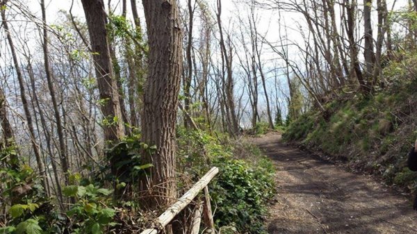 terreno agricolo in vendita a Somma Vesuviana