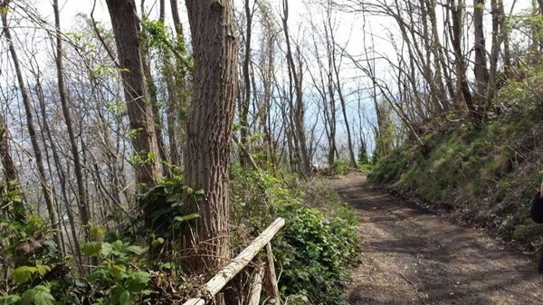 terreno agricolo in vendita a Somma Vesuviana