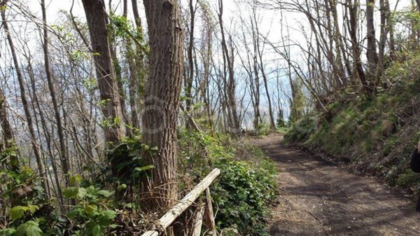 terreno agricolo in vendita a Somma Vesuviana