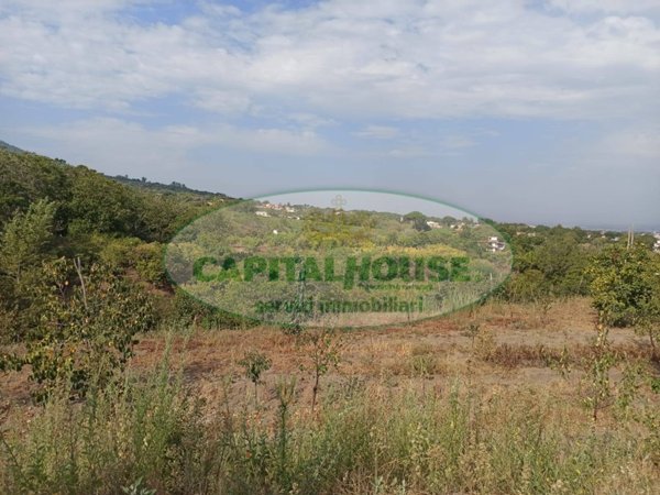 terreno agricolo in vendita a Somma Vesuviana