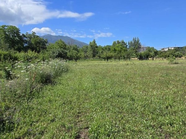 terreno agricolo in vendita a Somma Vesuviana