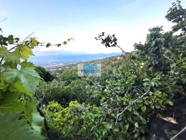 terreno agricolo in vendita a Somma Vesuviana