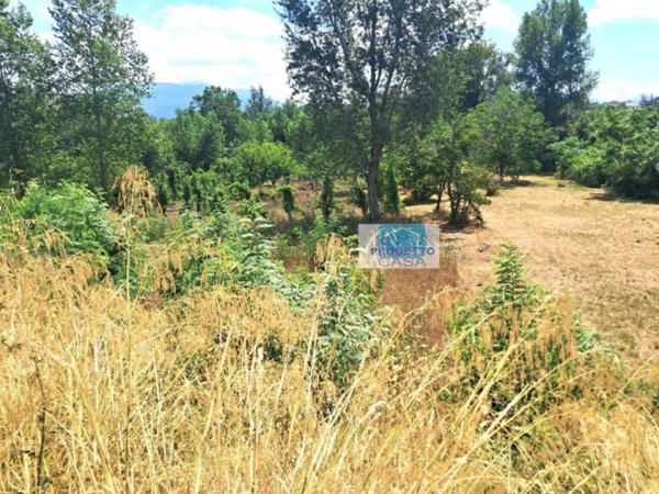 terreno agricolo in vendita a Somma Vesuviana