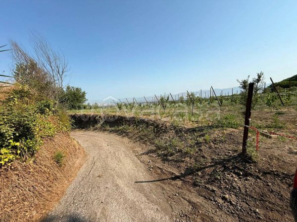 terreno agricolo in vendita a Somma Vesuviana in zona Rione Trieste