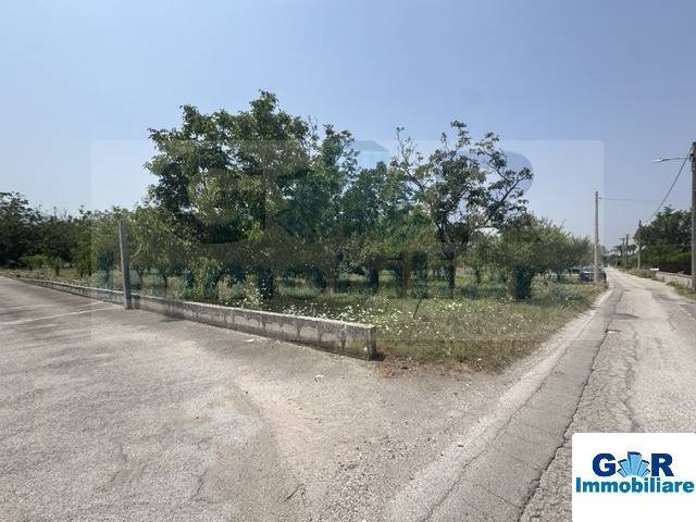 terreno agricolo in vendita a Somma Vesuviana