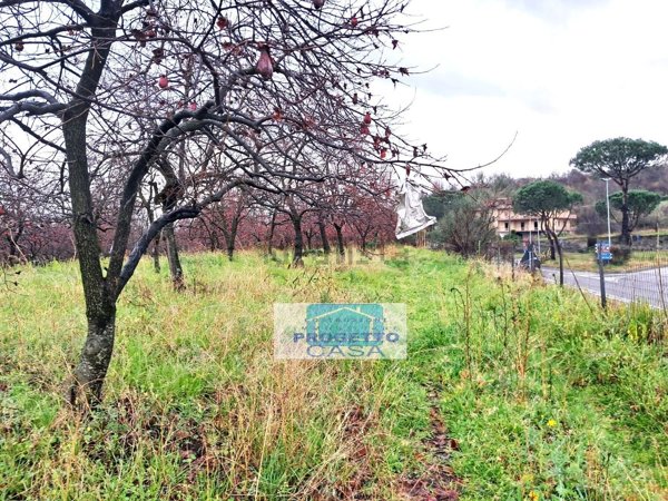terreno agricolo in vendita a Somma Vesuviana in zona Rione Trieste