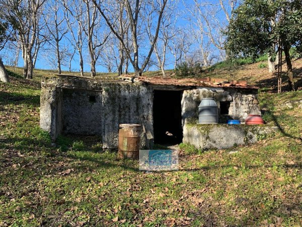 terreno in vendita a Somma Vesuviana