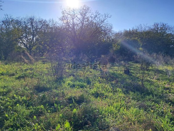 terreno in vendita a Somma Vesuviana in zona Pizzone Cassante