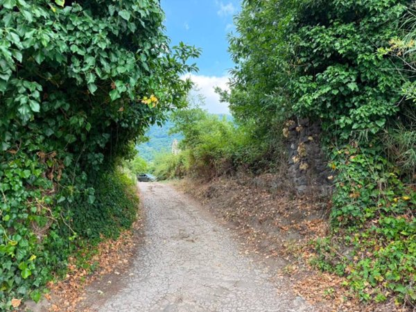 terreno agricolo in vendita a Somma Vesuviana in zona Rione Trieste