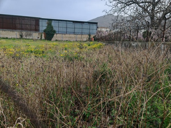 terreno agricolo in vendita a Somma Vesuviana in zona Rione Trieste