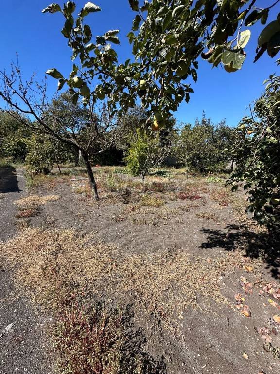 terreno agricolo in vendita a Somma Vesuviana in zona Reviglione