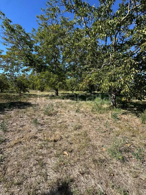 terreno agricolo in vendita a Somma Vesuviana in zona Reviglione