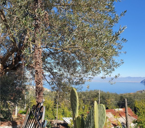 appartamento in vendita a Sorrento in zona Sorrento Capo