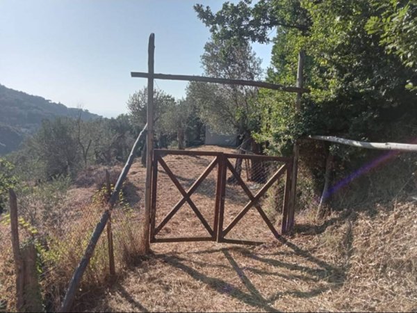 terreno agricolo in vendita a Sorrento