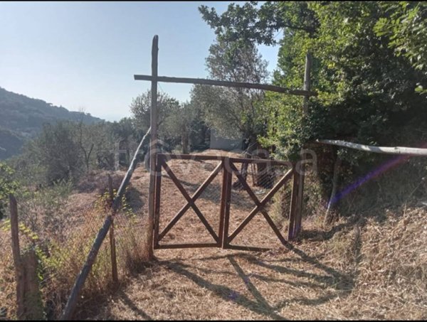 terreno agricolo in vendita a Sorrento