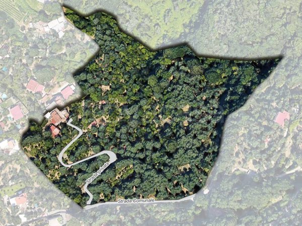 terreno agricolo in vendita a Sorrento