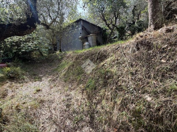 terreno agricolo in vendita a Sorrento
