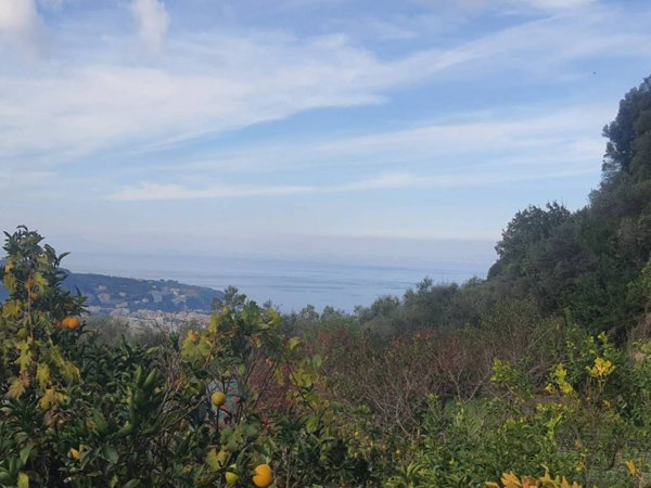 appartamento in vendita a Sorrento in zona Casarlano