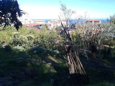 appartamento in vendita a Sorrento