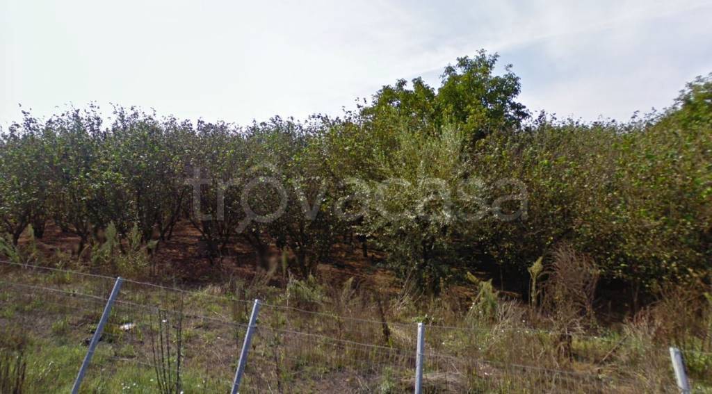 terreno agricolo in vendita a Striano