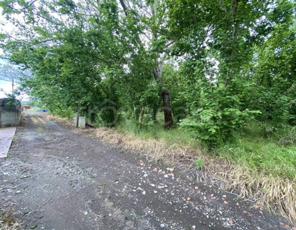 terreno agricolo in vendita a Striano