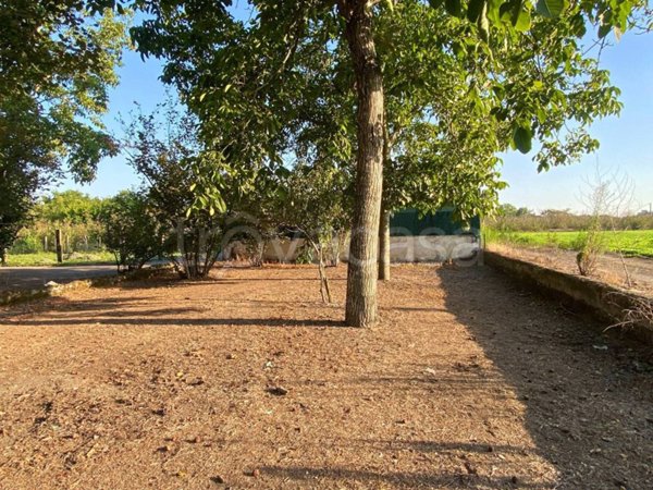 terreno agricolo in vendita a Striano