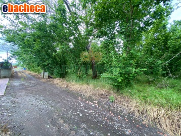 terreno agricolo in vendita a Striano