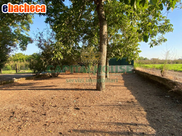 terreno agricolo in vendita a Striano