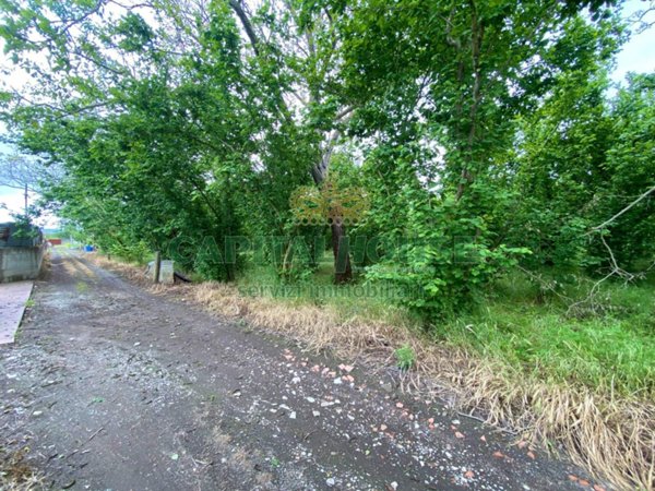 terreno agricolo in vendita a Striano