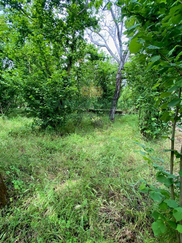 terreno agricolo in vendita a Striano