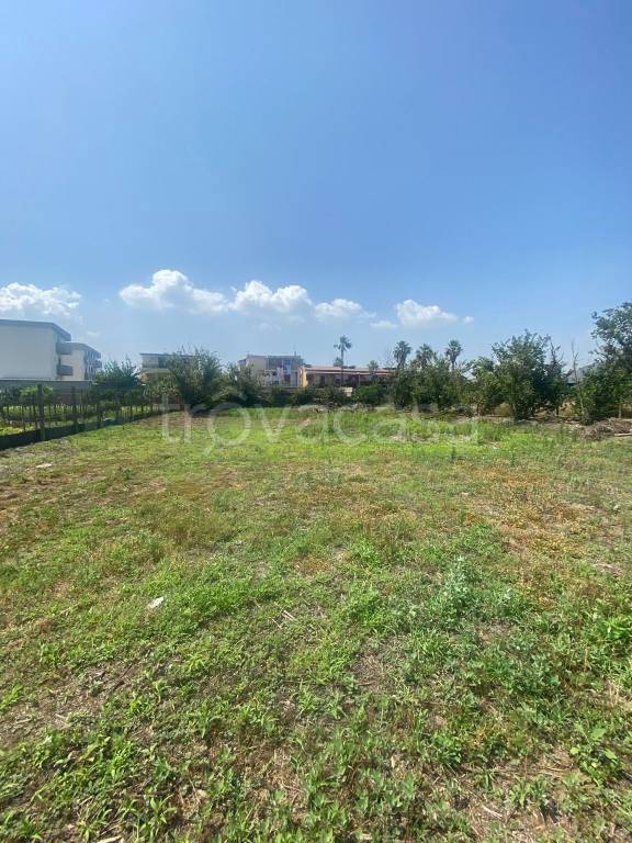 terreno agricolo in vendita a Striano