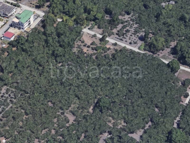 terreno agricolo in vendita a Terzigno