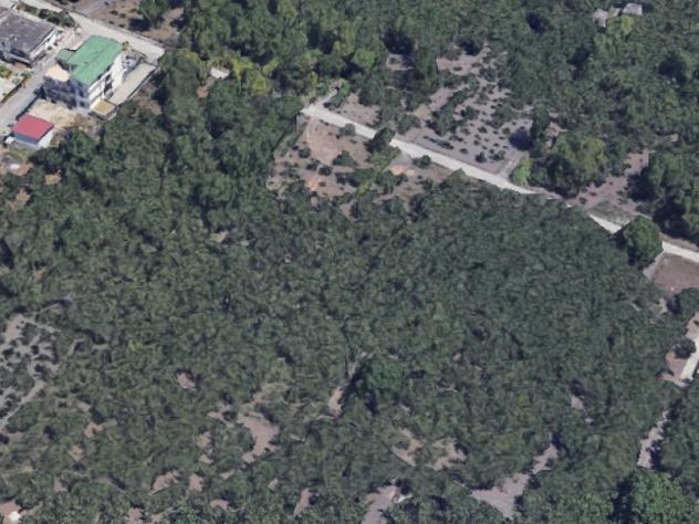 terreno agricolo in vendita a Terzigno