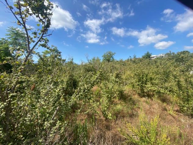 terreno agricolo in vendita a Terzigno